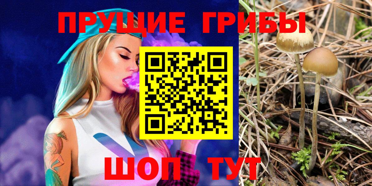 закладки  Вход с VPN  Галлюциногенные грибы Psilocybe  Кореновск  Галлюциногенные грибы Psilocybine cubensis 